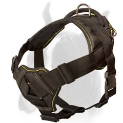 Harness with Soft wide chest plate
