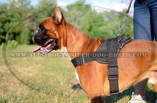 Mega-comfortable Pulling Harness