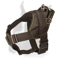 Harness with Be in control handle