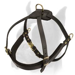 Multifunctional Leather Harness for Boxer Dog