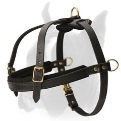 Lightweight Padded Dog Harness