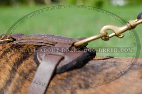 Boxer Leather Harness With Dependable Quick Release Buckle