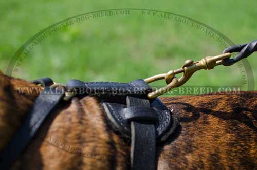 Boxer Leather Harness Extra Comfortable