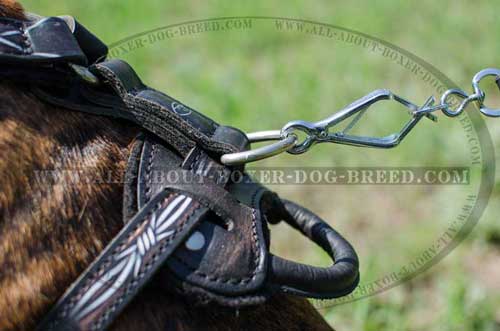 Boxer Leather Harness With Extra Soft Padding