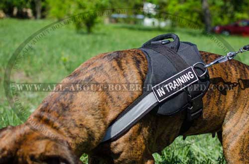 Nylon Harness For Professional Trainings