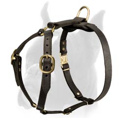 Dog Harness of Fascinating design