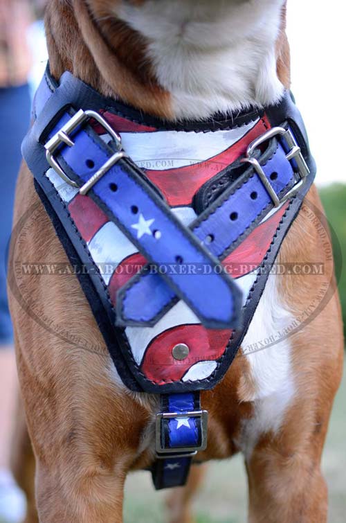Harness with Quick release buckle