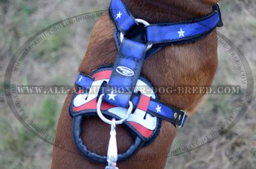Exclusive  Dog Harness for Happy walking