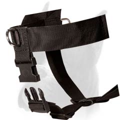 Training Harness with welded rings