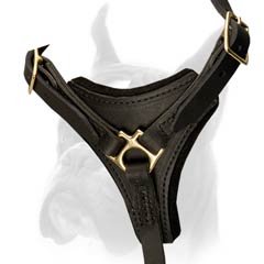 Extraordinary Dog Harness