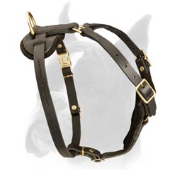 Multipurpose Boxer Dog Harness