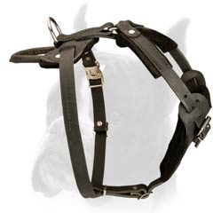 Felt padded Leather Harness