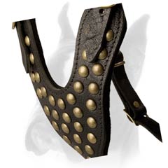 Harness good for training and walking