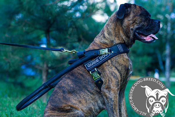 Boxer leather harness adjustable  with quick release buckle for assistance