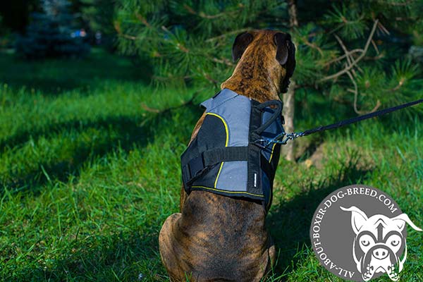 Boxer nylon harness of lightweight material with d-ring for leash attachment for winter walking