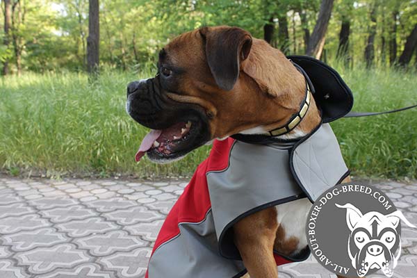 Boxer nylon harness of any weather material with Velcro for walking