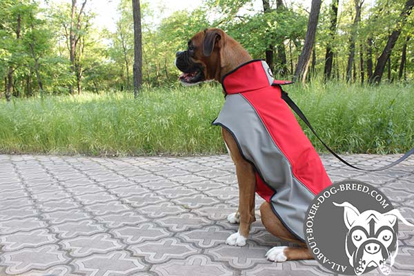 Boxer nylon harness of lightweight material with stand-up collar for any weather walks