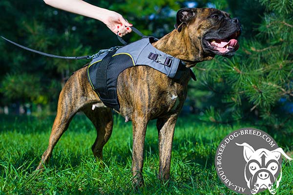 Reliable Handle on Boxer Vest 
