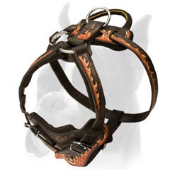 Heavy Duty Harness Painted by Hand with Unique Red Fire Pattern