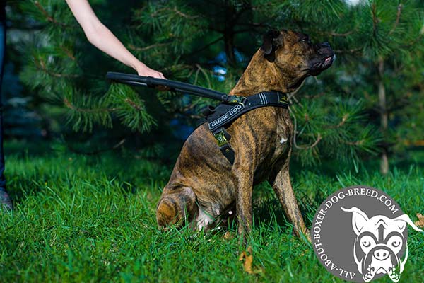Boxer Guide Harness with Steel Leather Covered Control Handle