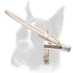 Boxer Leather Harness for Assistance