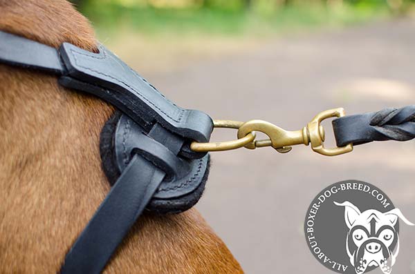 Comfortable Boxer Collar with D-Ring