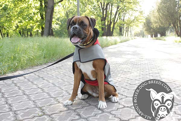 Boxer Winter Coat with Reliable Velcro