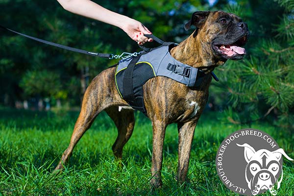 Ultra Light Strong Nylon Boxer Harness
