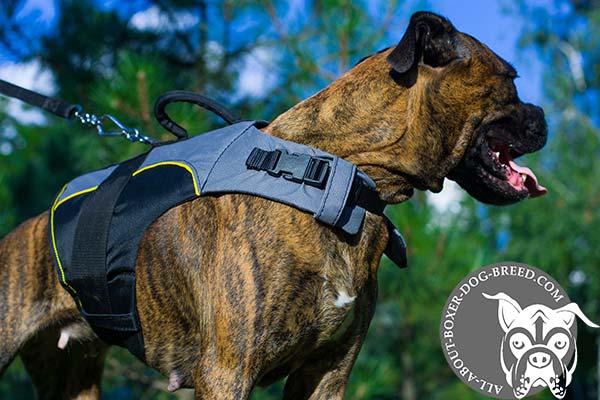 Good-Looking Strong Nylon Boxer Vest