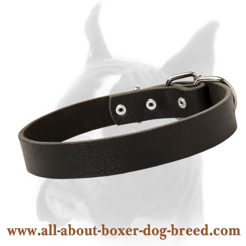 Full Grain 1 1/5 inches Wide Leather Collar for Boxer