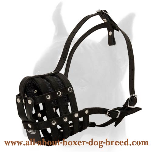 A perfect air flow Boxer leather dog muzzle
