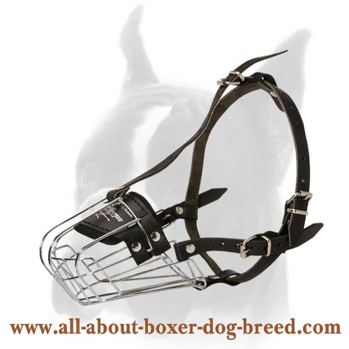 Best muzzle for boxers shop