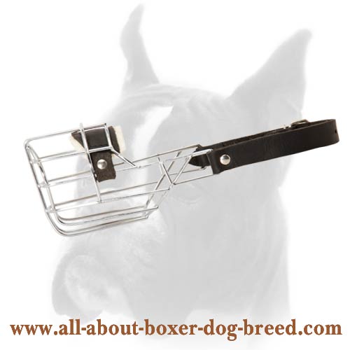 Muzzle suitable for boxer online