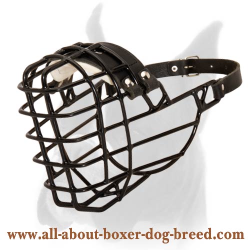 Antifreeze Wire Cage Muzzle for Boxer