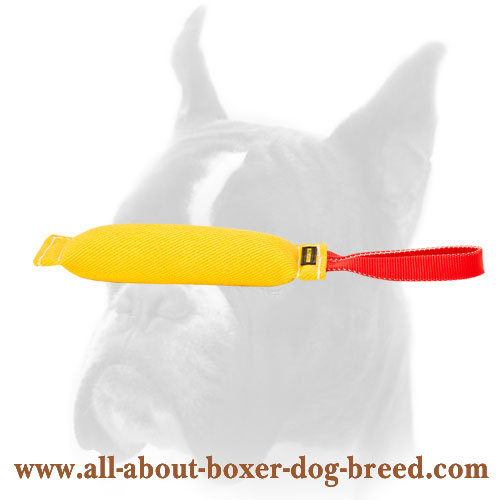 Boxer Bite Tug of French Linen for Retrieve Training