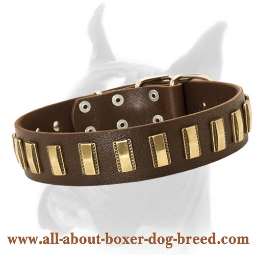 Handcrafted Leather Collar With Vertical Brass Plates