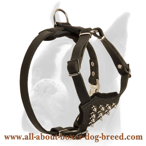 Leather Puppy Harness for Superior Control over Boxer Puppies