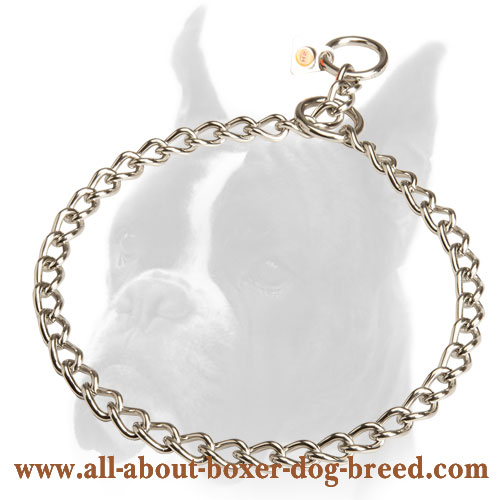 Stainless Steel Choke Collar with HS Quality Label - 1/9 inch (3mm)