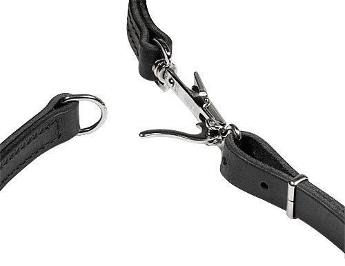 quick release dog leash