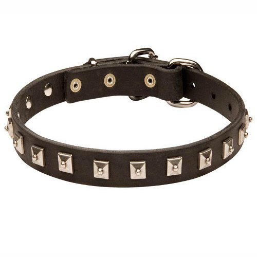 Elegant Boxer Leather Collar With Nickel Studs