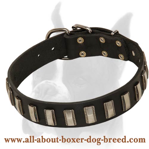 Decorated with metal plates Dog Collar for Boxer Breed