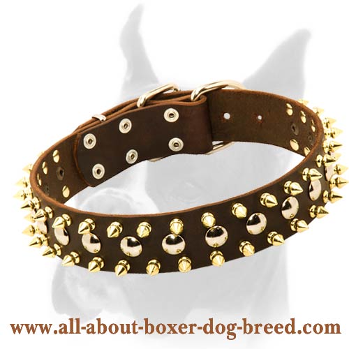 Astonishing Leather Spiked Studded Dog Collar for Boxer