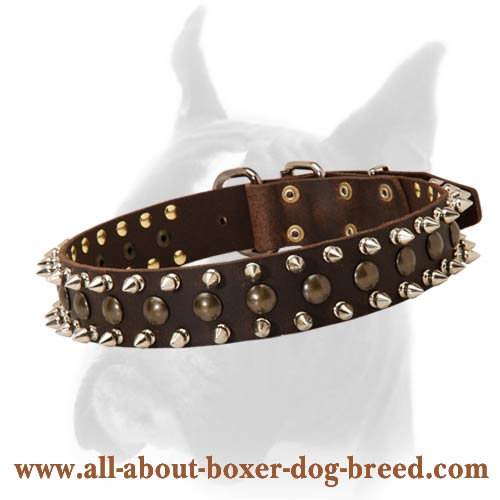 Boxer Spiked & Studded Dog Collar 1 1/2 inch wide