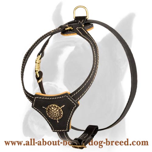 Tracking and Walking Royal Leather Harness for Boxer Puppy