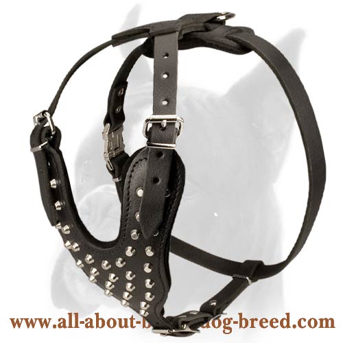 Boxer Leather Dog Harness with Metal Decoration