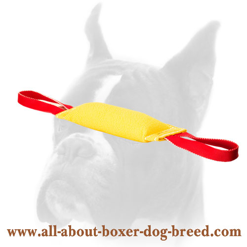 French Linen Boxer Bite Tug with 2 Handles