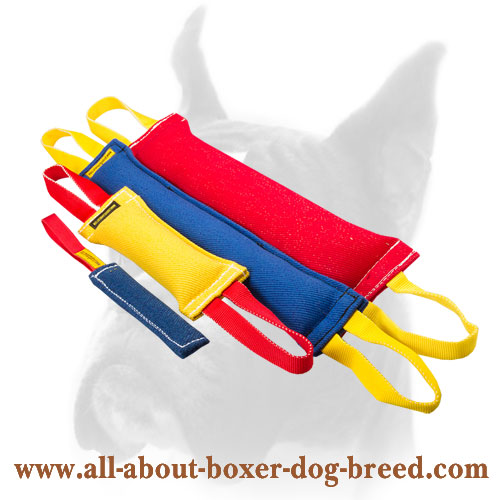 French Linen Boxer training set
