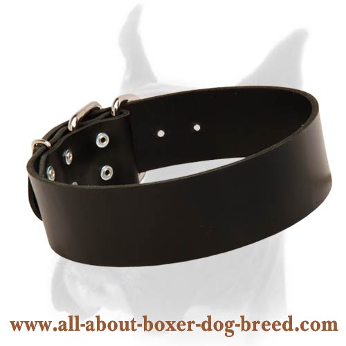 Extra Wide Boxer Collar Made of Full Grain Leather