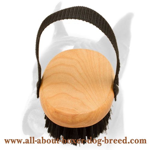 Bristle Boxer Brush for Everyday Grooming 'Brush & Go' [KA181035 Wooden brush] Boxer dog