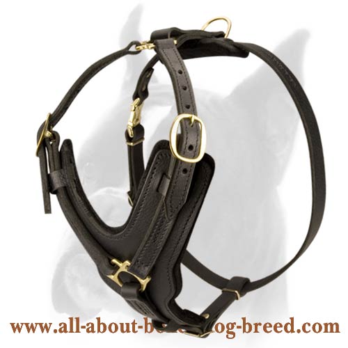 Exclusive Handcrafted Boxer Dog Harness for Successful training